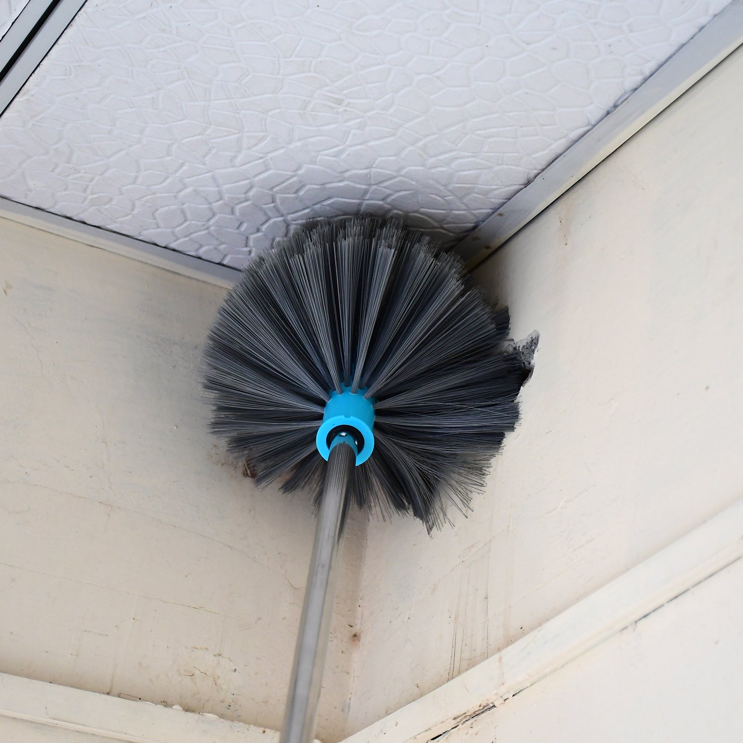 Cobweb brush, strong handle Cobweb brush, strong handle